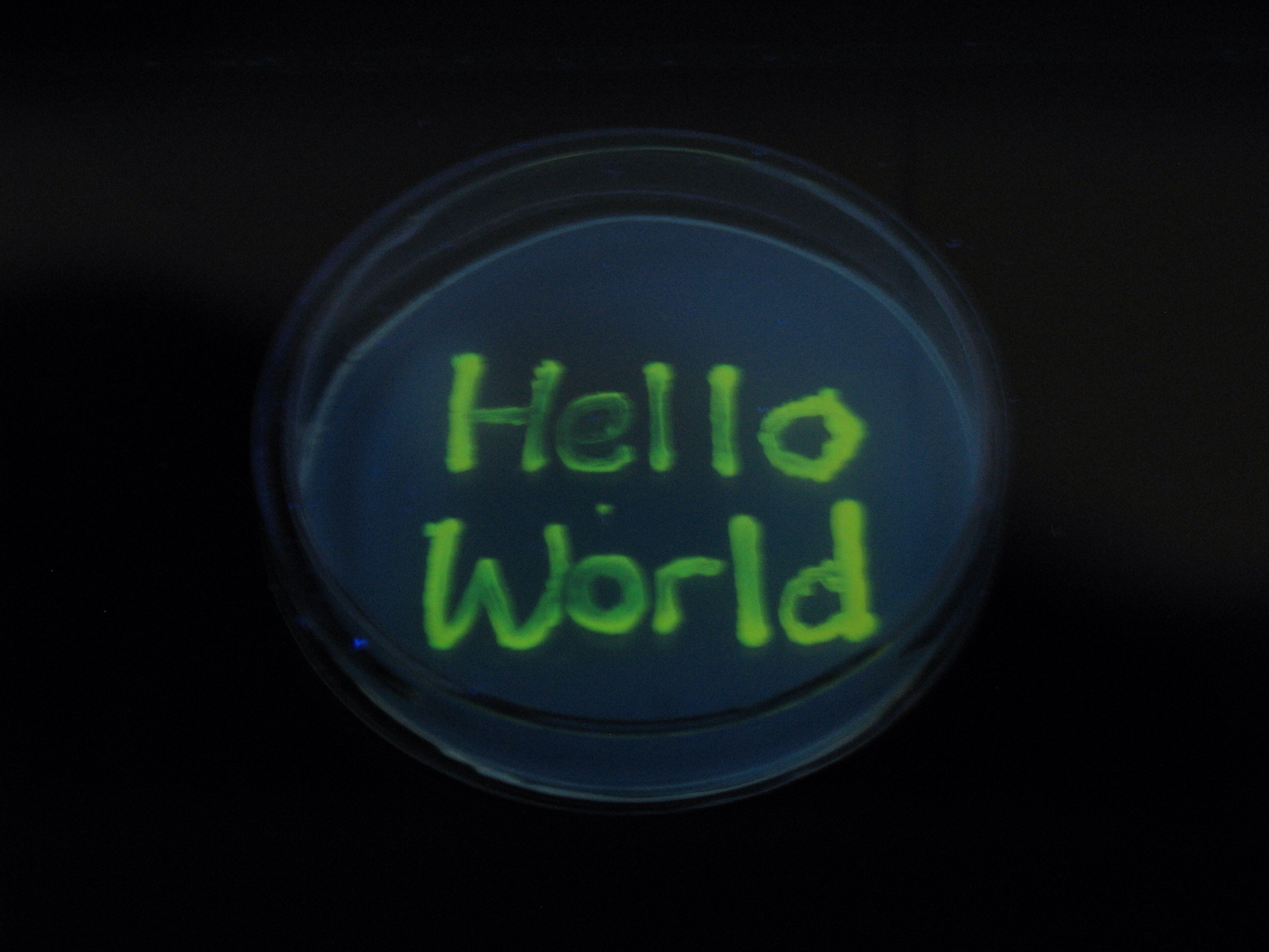 Helloworld3.jpeg
