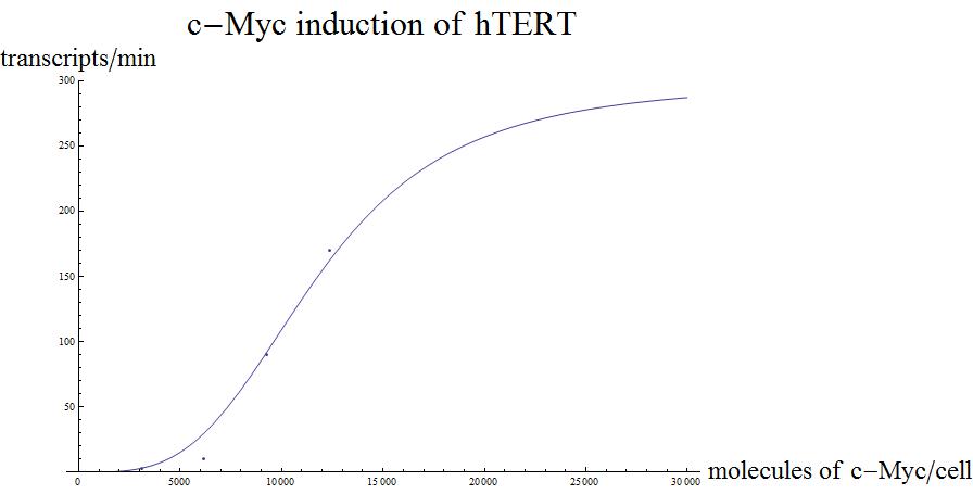 C-Myc induction of hTERT.jpg