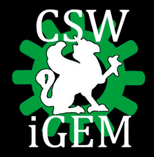 CSW iGEM Logo.png
