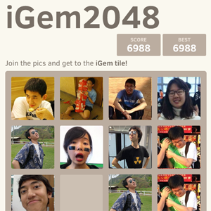 2048-iGEM.png