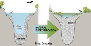 Project eutrophication clip image001.jpg