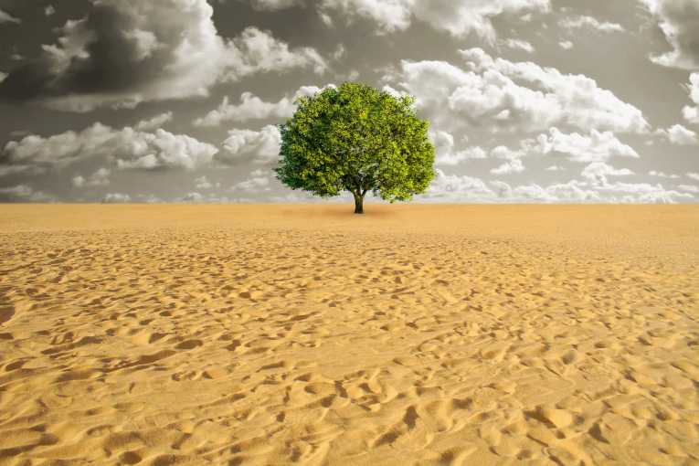 Desertification 73.jpg