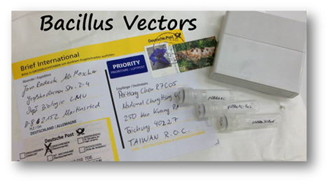 Bacillus vectors.png