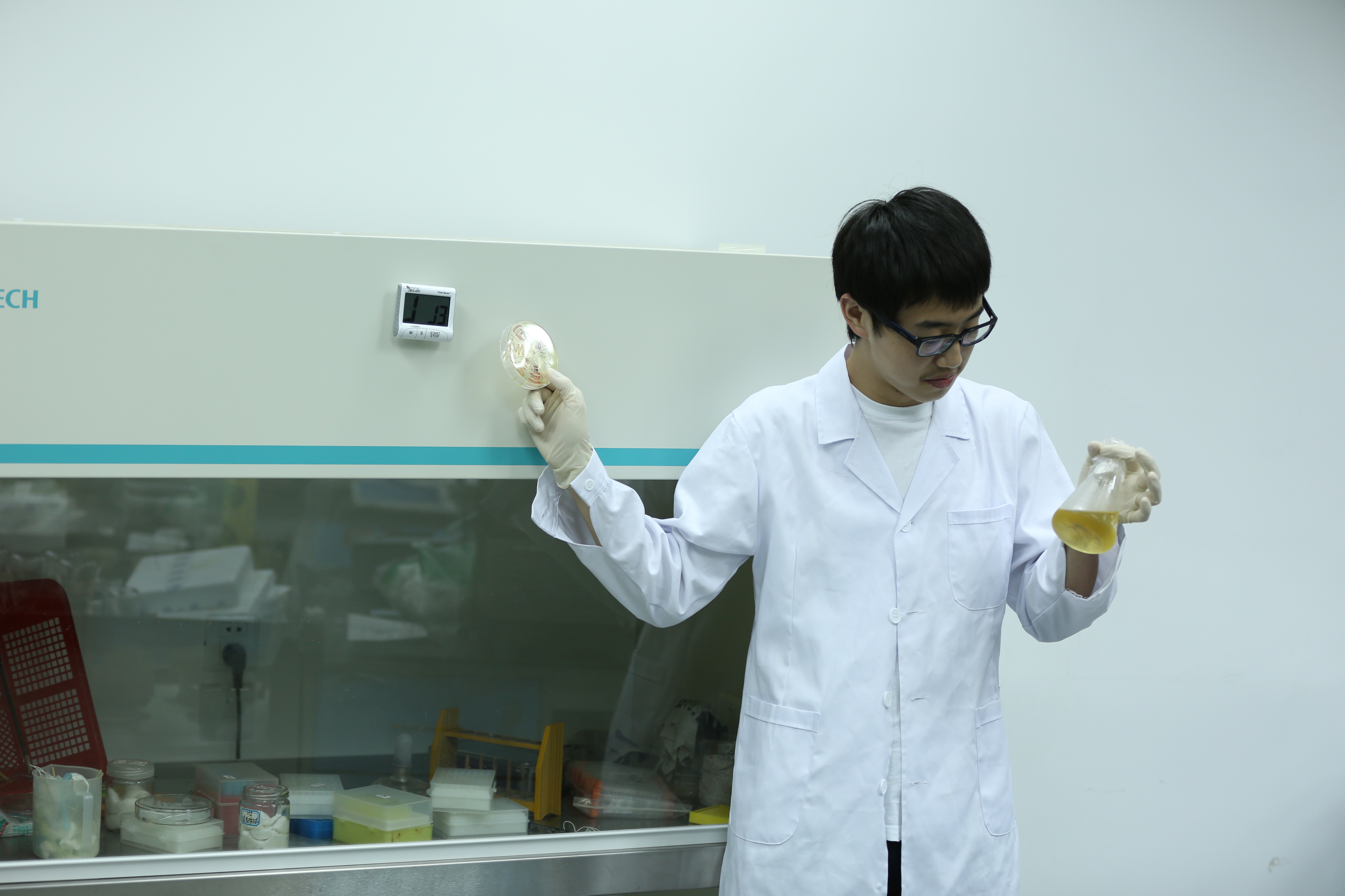 Zhang Yang is checking the cell culture.