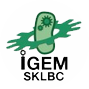 SKLBC-China2014-logo.png