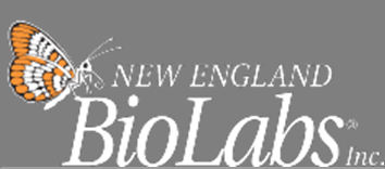 WalthamHS BioHawks logo.png