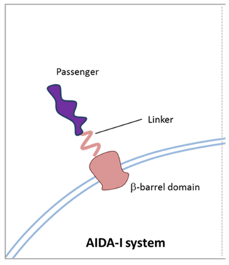 Aida system.png