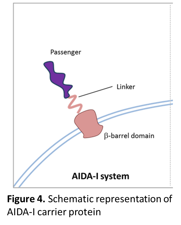 Aida-1 system.png